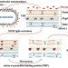 photo of molecular drills article